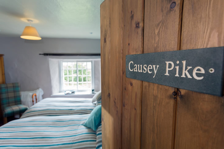 Causey sink